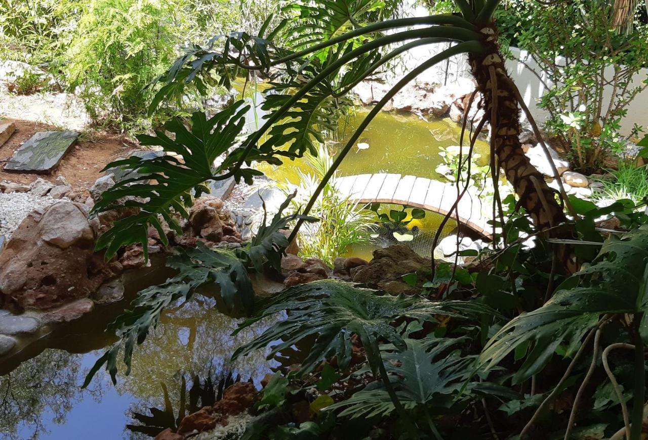 Villa Tortuga Marbella Kültér fotó