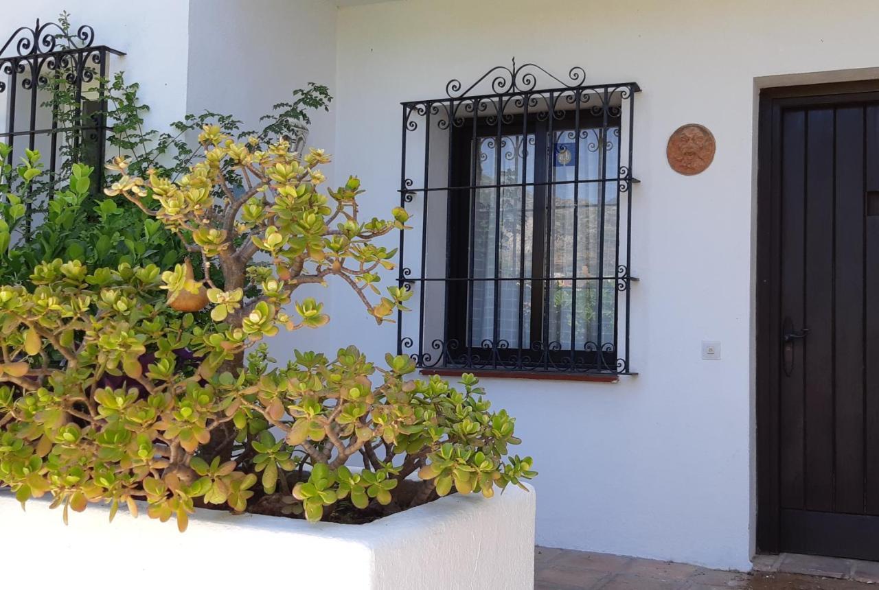 Villa Tortuga Marbella Kültér fotó