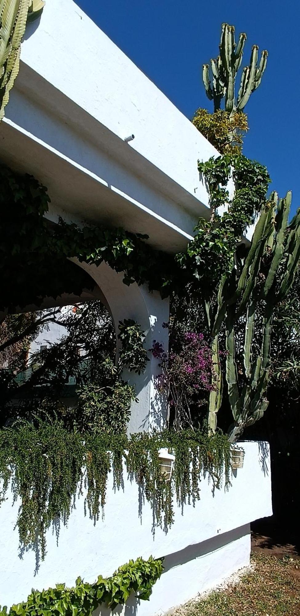 Villa Tortuga Marbella Kültér fotó